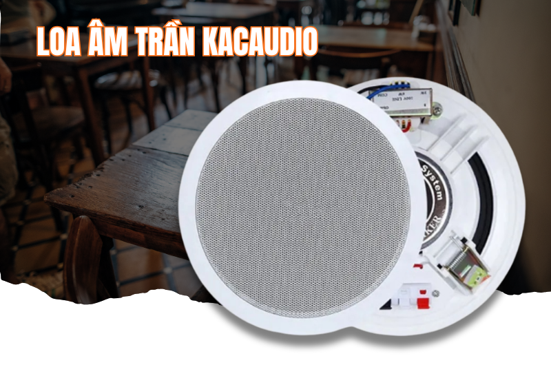 Loa âm trần Kacaudio