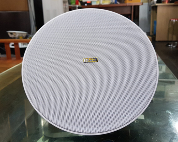 Loa âm trần APU C30W-P