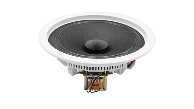 DSPPA DSP8011 được trang bị củ loa 6,5 inch