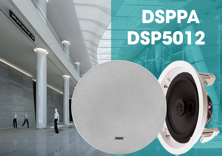 Loa âm trần DSPPA DSP5012