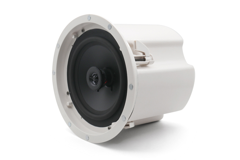 Loa DSPPA DSP5012C được trang bị một woofer 8 inch